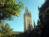 Giralda at Seville Cathedral Small.jpg