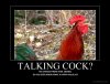 talking cock.jpg