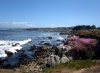 Monterey Coast.jpg